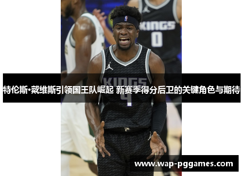 特伦斯·戴维斯引领国王队崛起 新赛季得分后卫的关键角色与期待