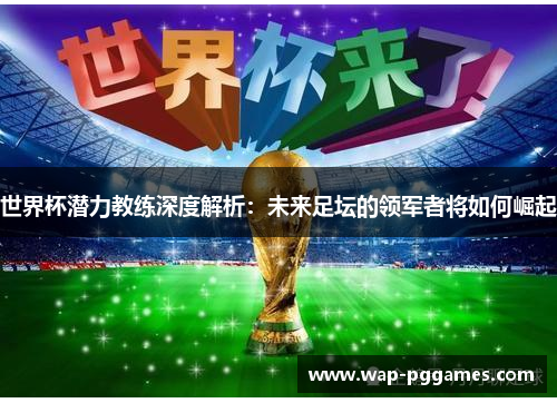 世界杯潜力教练深度解析：未来足坛的领军者将如何崛起