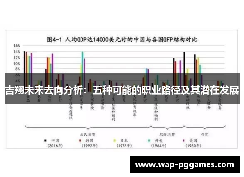吉翔未来去向分析：五种可能的职业路径及其潜在发展
