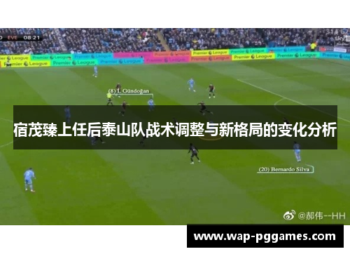 宿茂臻上任后泰山队战术调整与新格局的变化分析