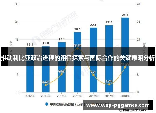 推动利比亚政治进程的路径探索与国际合作的关键策略分析